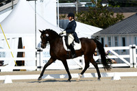HSM_1301