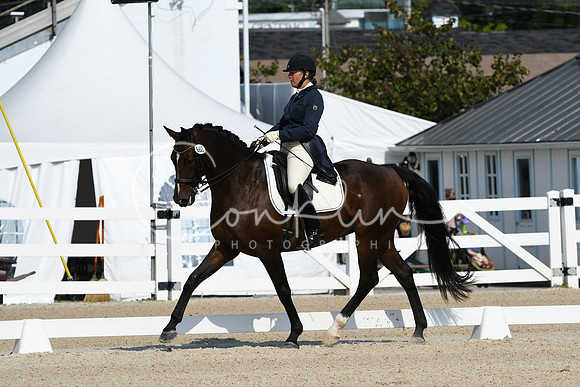 HSM_1301
