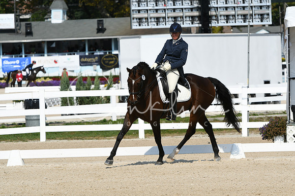 HSM_1303