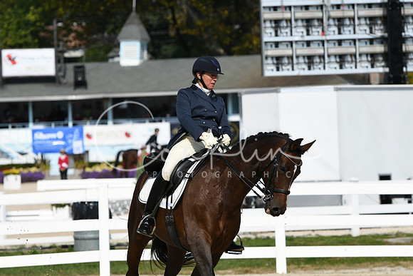 HSM_1305