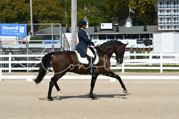 HSM_1311