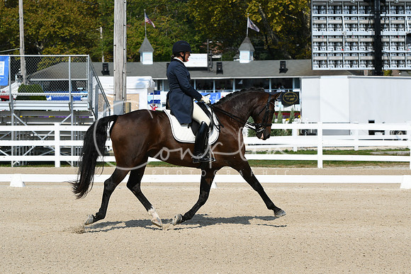 HSM_1312