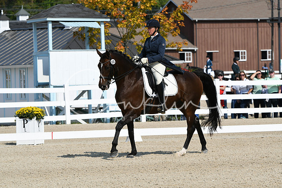 HSM_1321