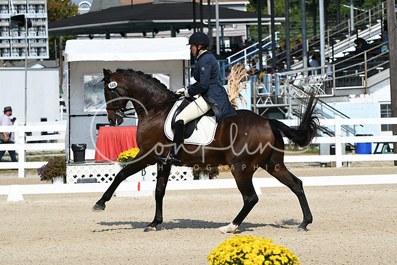 HSM_1329