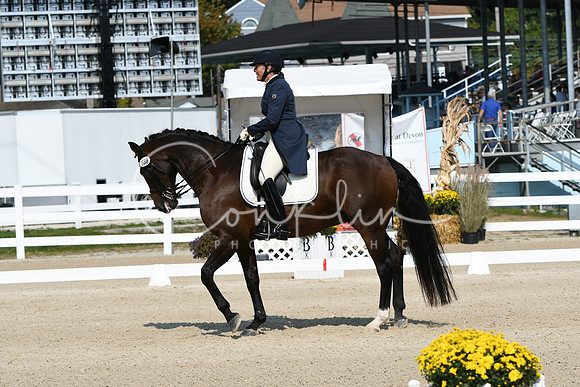 HSM_1333