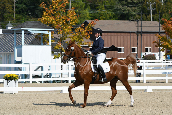 HSM_1187