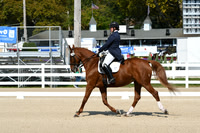 HSM_1191