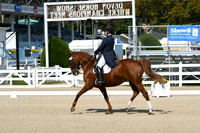 HSM_1193