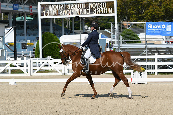 HSM_1193