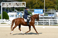 HSM_1196