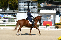 HSM_1198