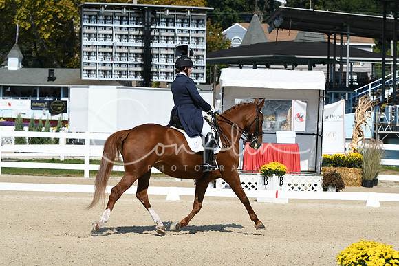 HSM_1199