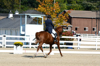 HSM_1200