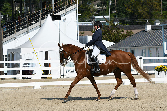 HSM_1201
