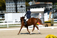 HSM_1204