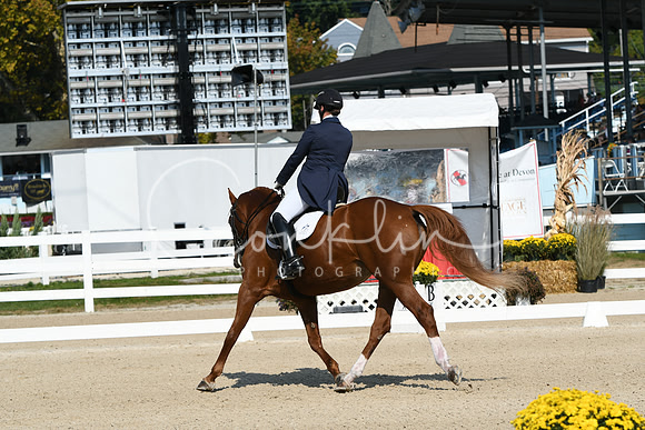 HSM_1204