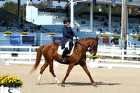 HSM_1206