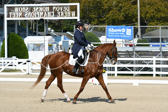 HSM_1207