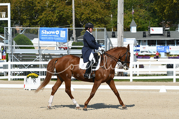 HSM_1208