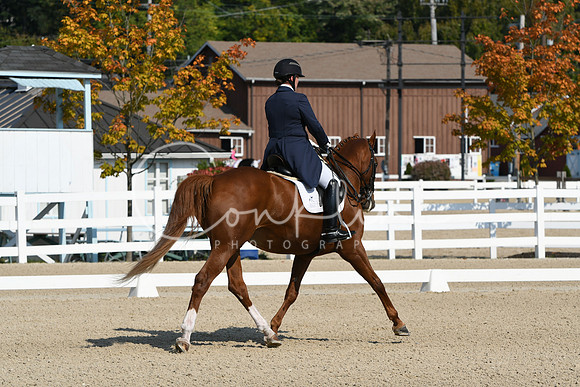 HSM_1212