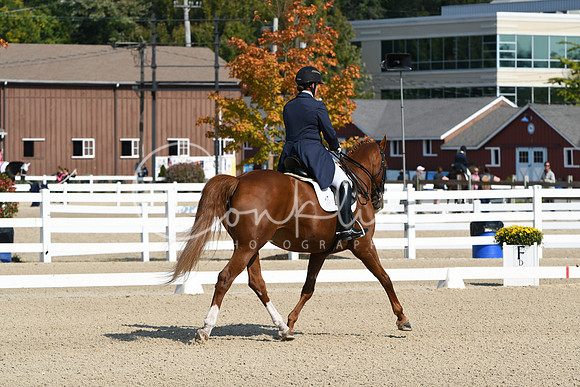 HSM_1214