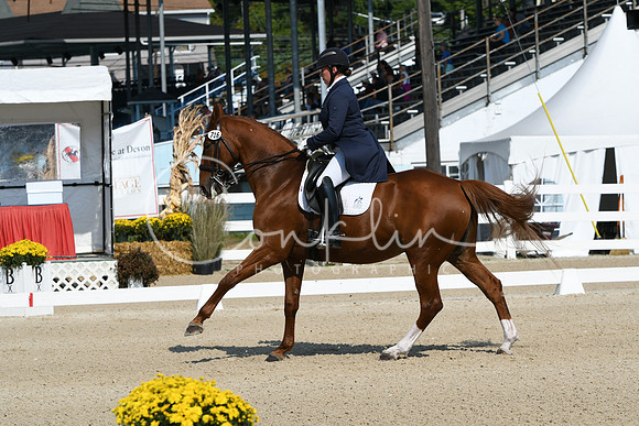 HSM_1228
