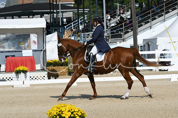 HSM_1229