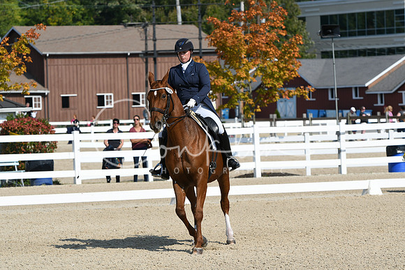 HSM_1240