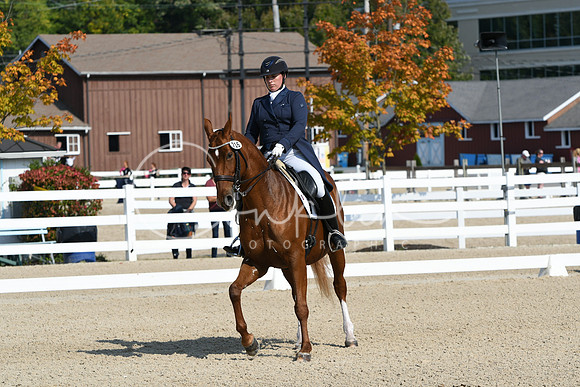 HSM_1241