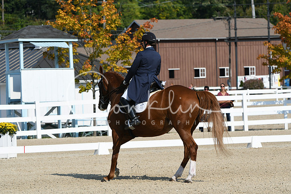 HSM_1244