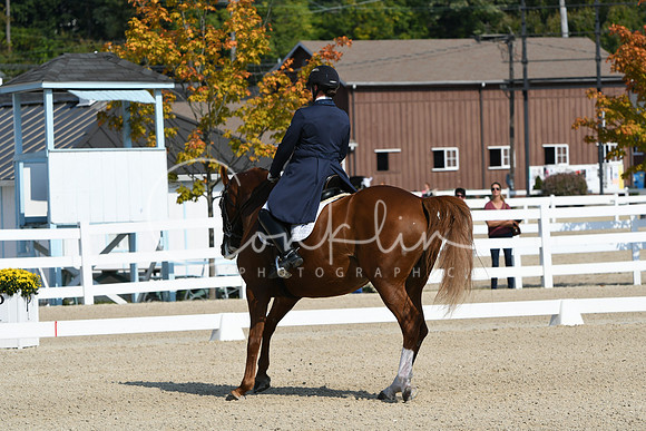 HSM_1245