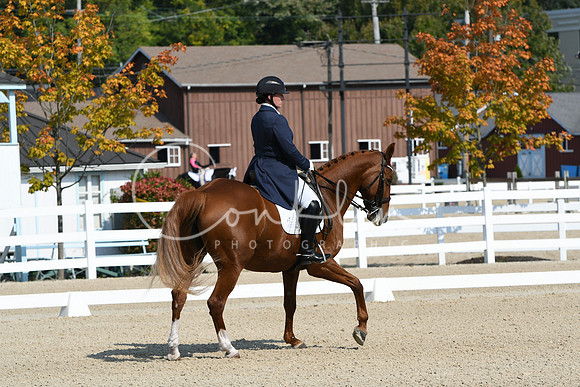 HSM_1246
