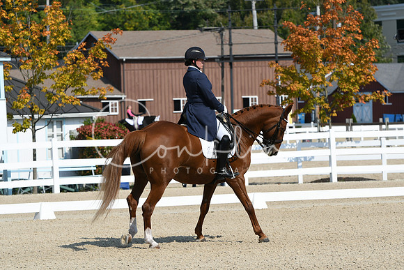 HSM_1247