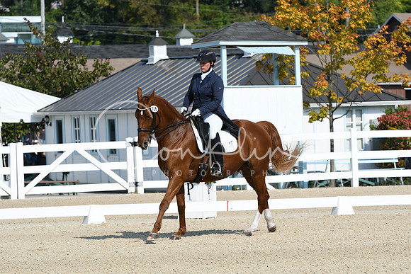 HSM_1251