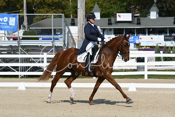 HSM_1262