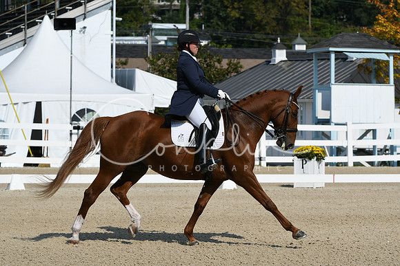 HSM_1263