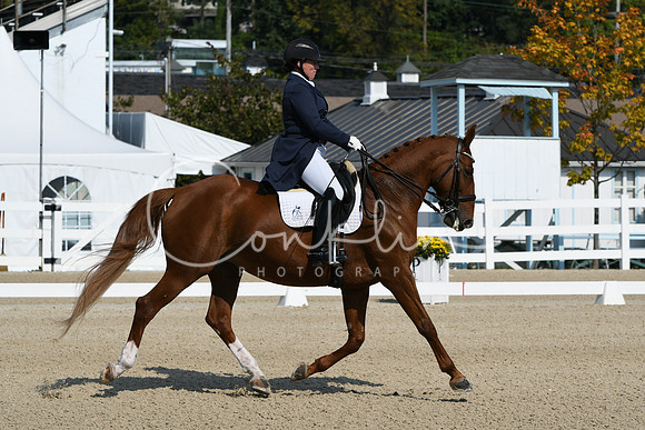 HSM_1264