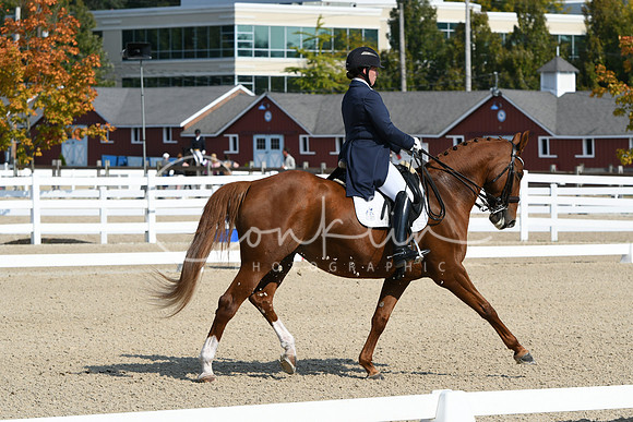 HSM_1266