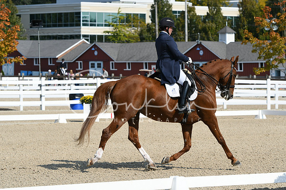 HSM_1267