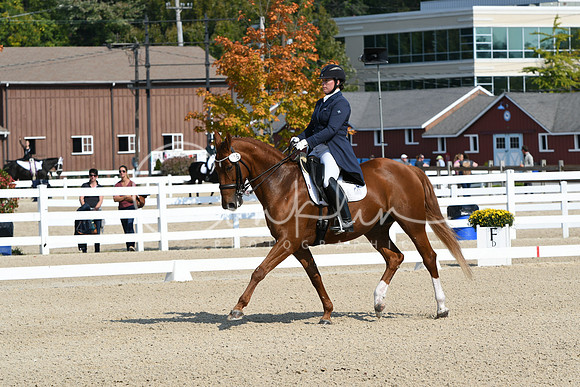 HSM_1268