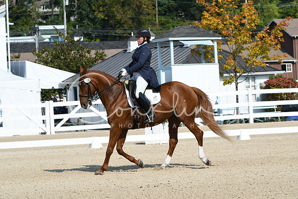 HSM_1271