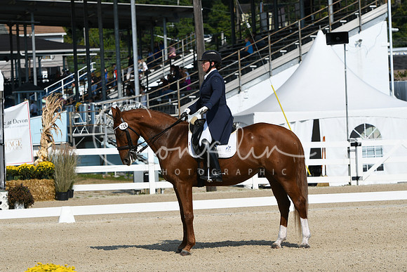 HSM_1272