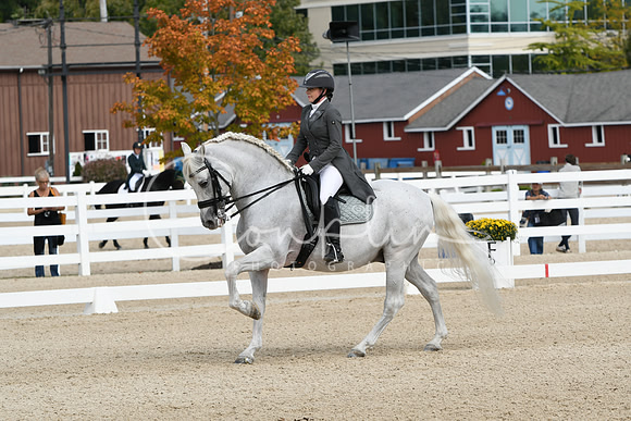 HSM_1511
