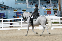 HSM_1523