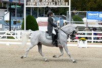 HSM_1525