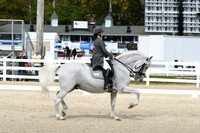 HSM_1526