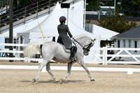 HSM_1528