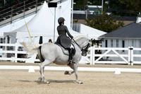 HSM_1529