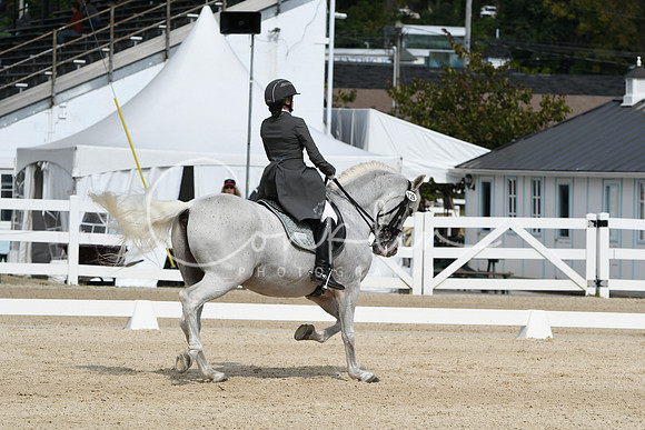 HSM_1529