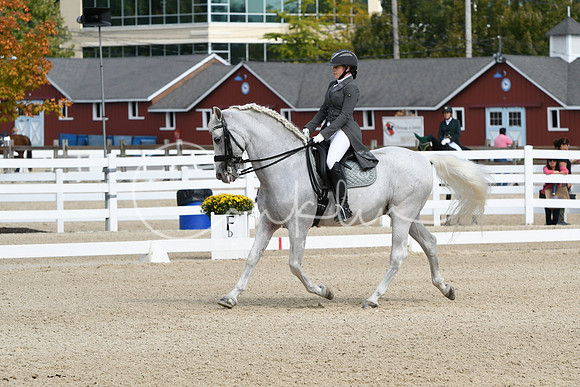 HSM_1533